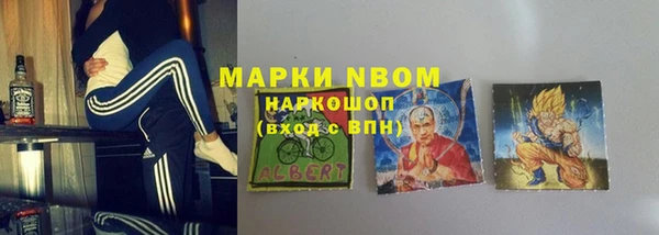 индика Богородск