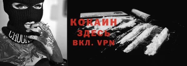 индика Богородск
