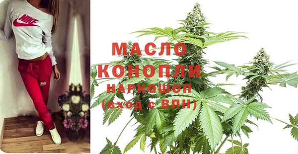 индика Богородск