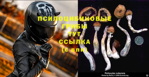 кокс Бородино