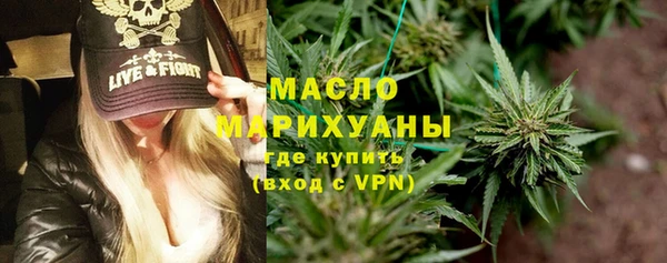 индика Богородск