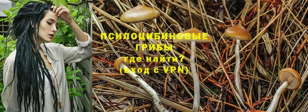 дурь Белокуриха