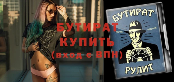 индика Богородск